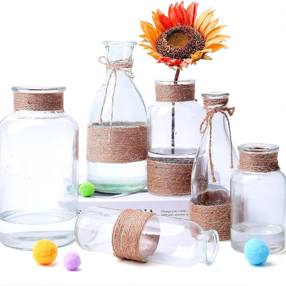 Glass Bud Vases Set of 6, Small Clear Flower Vase with Unique Rope Design, Decor